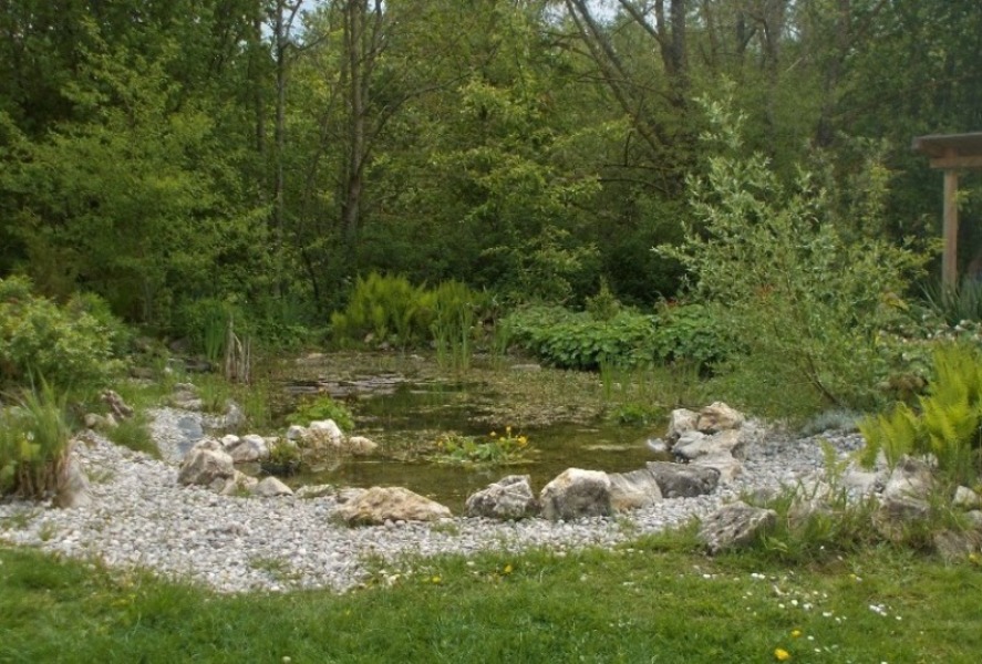 Schulteich